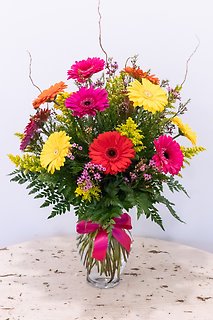 Giggling Gerberas
