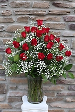 Roses Supreme - 2 Dozen Red