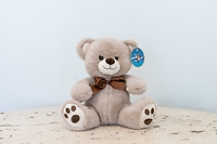 Classic Teddy Bear - 13\"