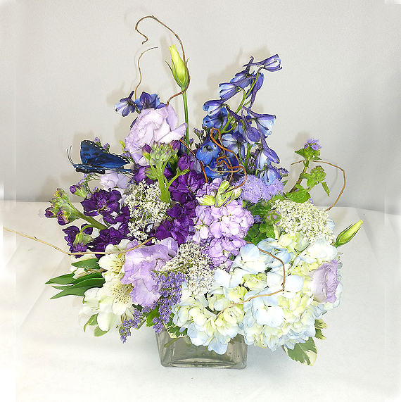 Lady Lavender