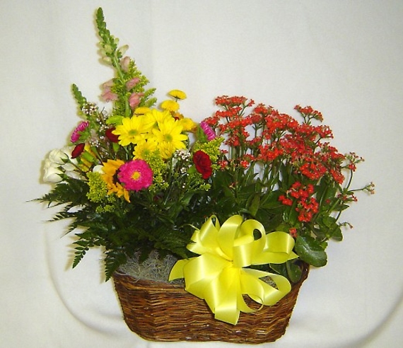 Basket of Color