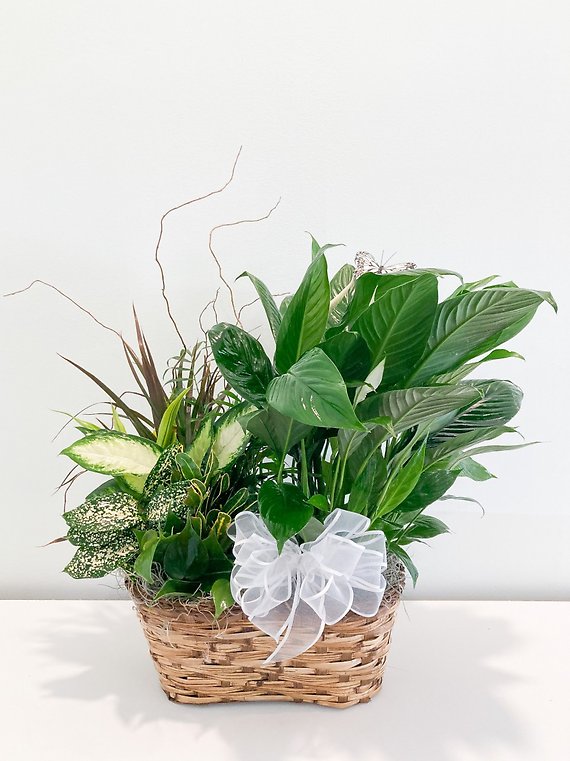 Green Garden Basket