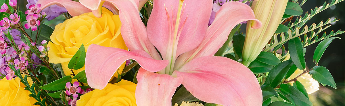 Easter Flowers & Gifts[Pick-up or Delivery]