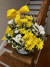 Daisy Delights
