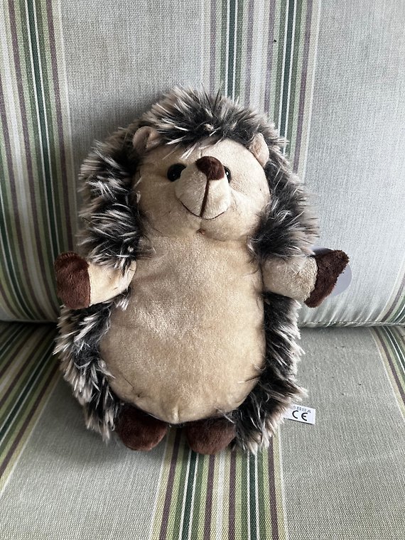 Prickles the Hedgehog