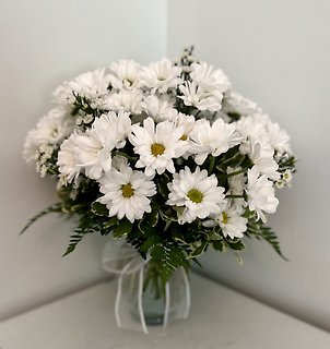 Daisy Daze