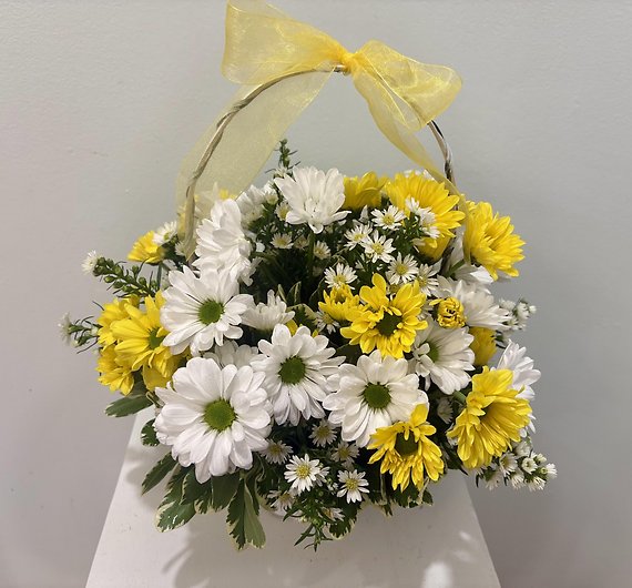 Daisy Delights