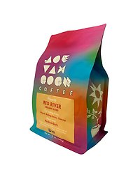 Joe Van Gogh \"Sea Turtle\"